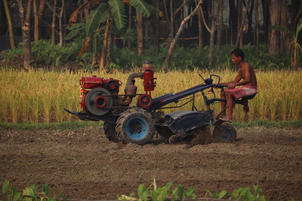 Livelihood Livelihood